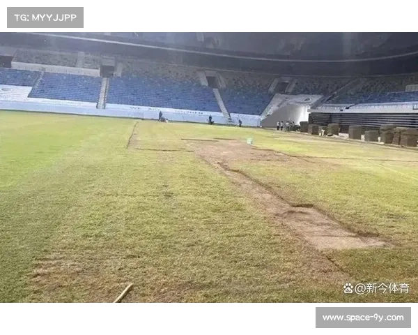 万达大都会球场草皮质量引关注，可能影响技术流球队发挥