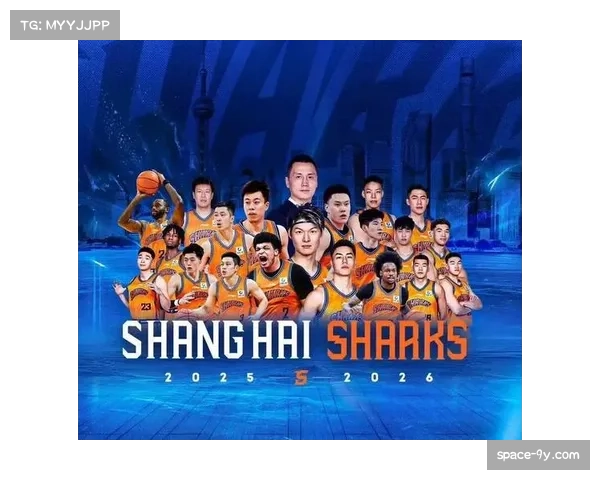 季后赛伤病潮凸显阵容深度重要性，上海轮换优势明显